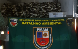 PMAM apreende cerca de 6 toneladas de pescado de origem ilegal