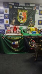 Base Arpão: mais de 70 quilos de drogas são apreendidos em blocos de latas prensadas