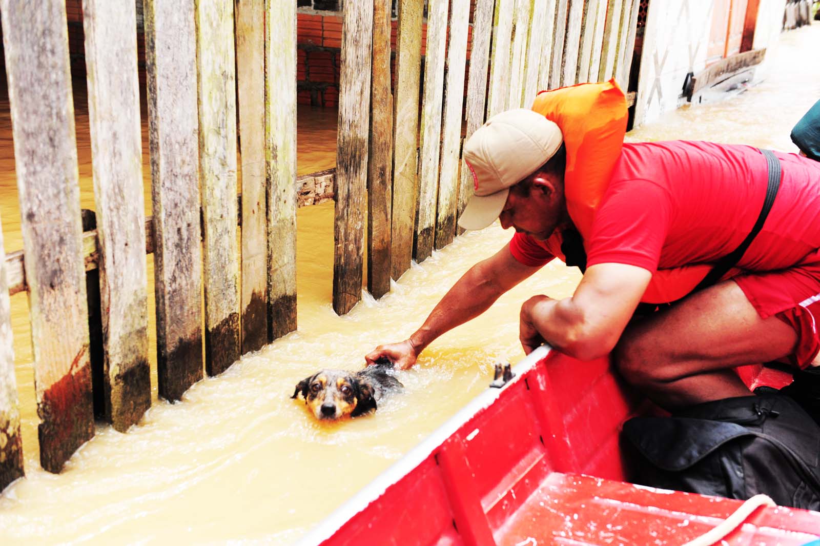 Foto: Alberto Cesar Araujo/Foto Amazonas