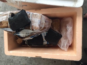 Foto: Divulgação SSP-AM