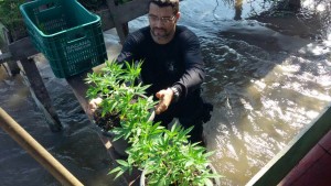 Foto: Divulgação SSP-AM