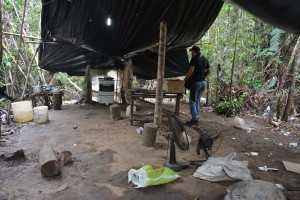 Sharon Marques Assessoria SSP-AM (22)