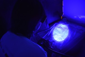 João Gomes/Assessoria SSP-AM