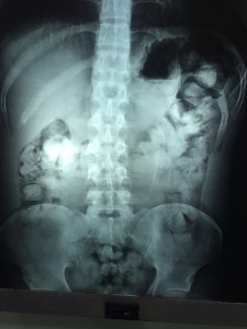 Divulgação Assessoria/ SSP-AM