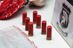 COLETIVA 12º DIP_FOTOS ERLON RODRIGUES (10)