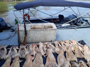 Imagem da notícia - Peruanos são presos com 368 kg de carne de caça em Tabatinga em fiscalização conjunta da SSP-AM e PF