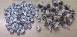 Imagem da notícia - Polícia Civil prende jovem com 71 trouxinhas de oxi e 24 porções de maconha do tipo skunk no bairro Tancredo Neves