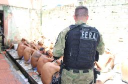 Operação Peregrino