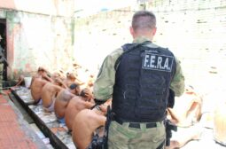 Operação Peregrino