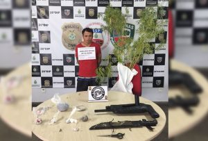 Imagem da notícia - Polícia Civil encontra plantio de maconha no bairro Monte das Oliveiras e prende rapaz pela prática ilícita com arma caseira