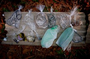 Imagem da notícia - Investigação sobre Tribunal do Crime na União colhe vestígios de ossada humana e outras provas para inquérito sobre homicídios