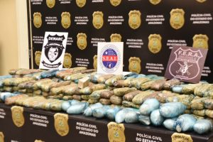 Imagem da notícia - SEAI apreende caminhão com cerca de 300 quilos de pasta-base de cocaína avaliados em R$ 3 milhões