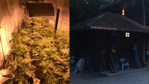 Imagem da notícia - Em Manaus, dez homens são presos e dois adolescentes apreendidos entre a noite de terça e madrugada desta quarta