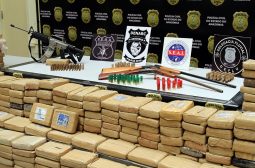 Órgãos da Segurança Pública apreenderam mais de 48 toneladas de drogas no AM em quatro anos