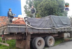 Imagem da notícia - Batalhão de Policiamento Ambiental apreende transporte ilegal de madeira e carvão mineral