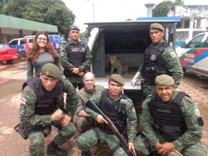 Imagem da notícia - Mais de 300 animais silvestres foram resgatados ou apreendidos em 2018