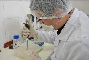 Imagem da notícia - Banco de DNA da criminalística já coletou mais de 1 mil amostras
