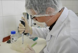 Imagem da notícia - Perícia vai retomar coleta de perfis genéticos de presos condenados no AM