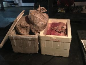 Imagem da notícia - Tonelada de pescado e carne de animal silvestre são apreendidas na Operação Pilar