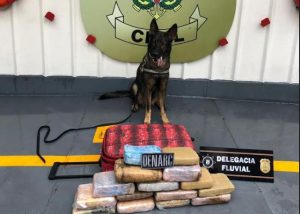 Imagem da notícia - PC e Receita Federal encontram 15 kg de maconha do tipo skunk