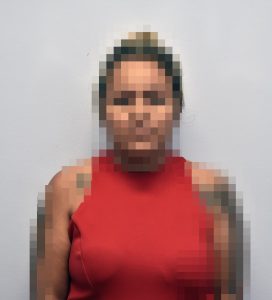 Imagem da notícia - PC prende mulher por comandar milícia em terreno invadido na AM-010