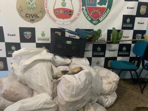 Imagem da notícia - SSP-AM estuda termo de cooperação para ações conjuntas entre estados do Norte