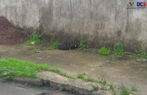 Imagem da notícia - Polícia Militar desativa artefato explosivo na zona norte de Manaus