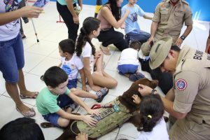 Imagem da notícia - Terapia com o auxílio de cães movimenta Seped