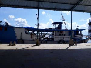 Imagem da notícia - Operação conjunta da SSP e PF prende homem com toneladas de pescado ilegal