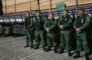 Imagem da notícia - Batalhão Ambiental apreende carga de madeira irregular