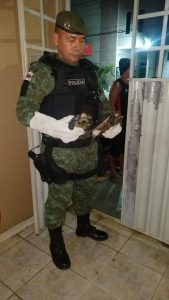 Imagem da notícia - Polícia Militar resgata quelônios no bairro Planalto