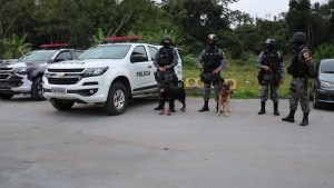 Imagem da notícia - CPAMB e CIPCães apreendem 500 quilos de pescado ilegal