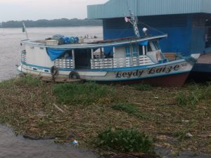 Imagem da notícia - Ação em Santo Antônio do Içá apreende 13 toneladas de pescado