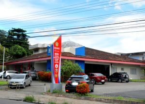 Imagem da notícia - Quatro tipos de crime concentram 84% dos casos de violência doméstica em Manaus