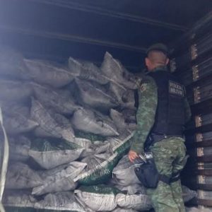 Imagem da notícia - Batalhão de Policiamento Ambiental apreende carvão vegetal