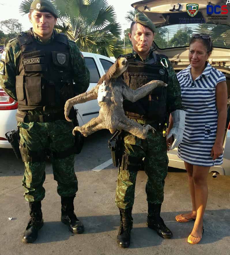 Batalhão Ambiental da Polícia Militar.