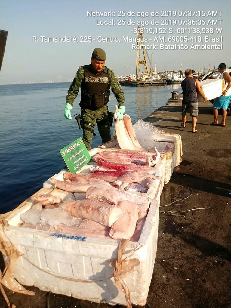 Batalhão ambiental da Polícia Militar