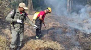 Imagem da notícia - Wilson Lima pede apoio das Forças Armadas no combate às queimadas