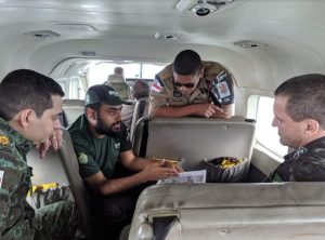 Imagem da notícia - Exército e Governo sobrevoam áreas com foco de calor no Amazonas