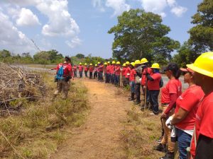 Imagem da notícia - Canutama recebe formação de novos brigadistas florestais