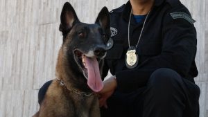 Imagem da notícia - PM apreende adolescente suspeito de homicídio de motorista de app