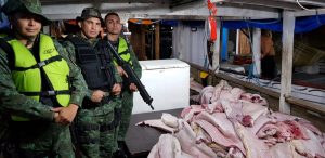 Imagem da notícia - Apreensão de pescado pela PM aumenta nove vezes em 2019
