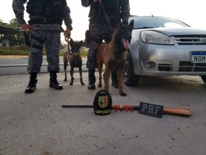 Imagem da notícia - PM apreende arma de fogo em veículo na BR-174