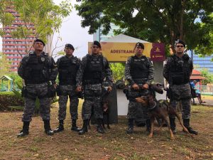 Imagem da notícia - Polícia Militar orienta população a denunciar crimes ambientais