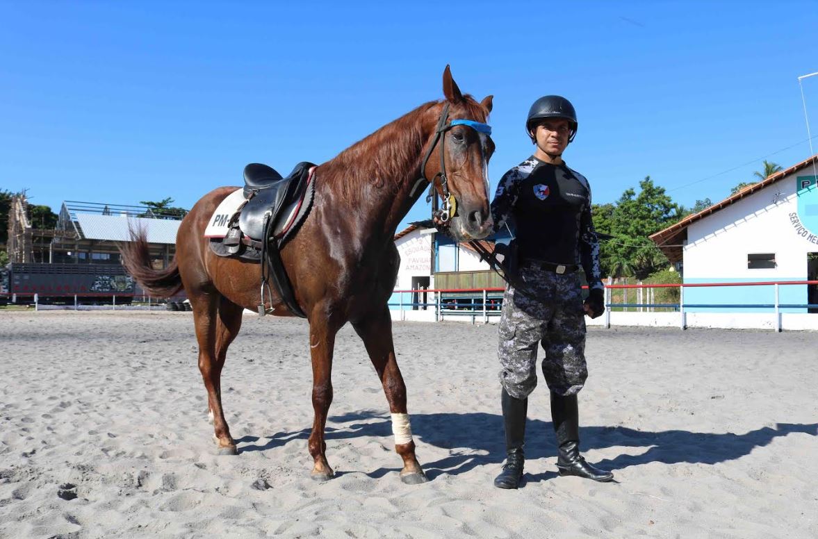 Cavalaria da Polícia Militar ajuda a reduzir criminalidade e é referência  em equoterapia - RPet - R7 RPet