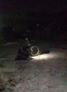 Imagem da notícia - PM’s do Grupamento Marte desmontam artefato na área de mata