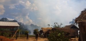 Imagem da notícia - Operação contra queimadas e desmatamento é realizada em Canutama