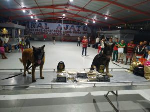 Imagem da notícia - Polícias Civil e Militar apreendem drogas no Porto de Manaus