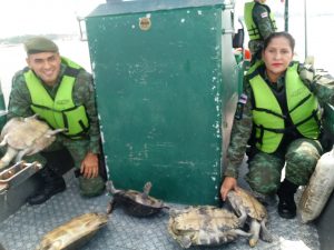 Imagem da notícia - Resgate de animais silvestres cresce 92% até setembro, segundo Polícia