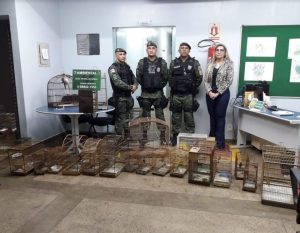 Imagem da notícia - PM apreende pássaros silvestres em criadouros irregulares